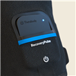 Brazo Therabody RecoveryPulse - XL